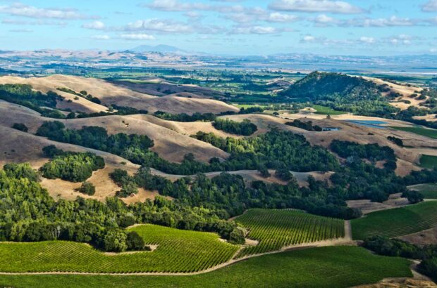 Sonoma wines $50