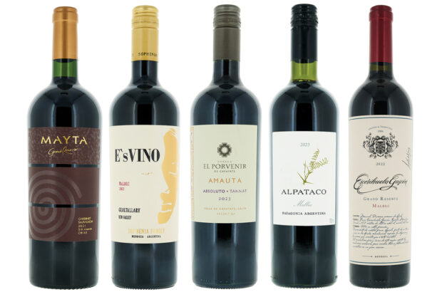 value South American reds