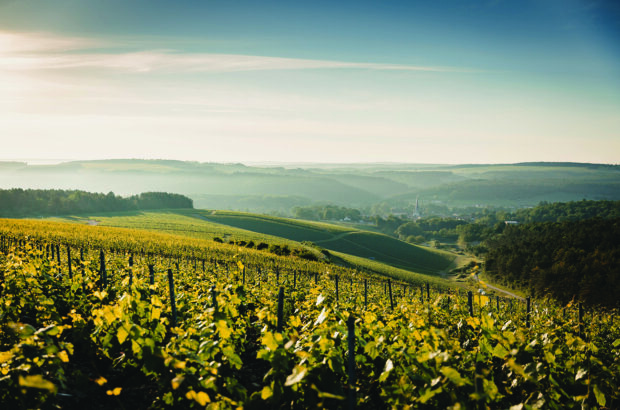 Côte des Bar Champagne