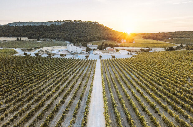 Explore wine’s new frontiers with Multidimensional Wine, by Gérard Bertrand