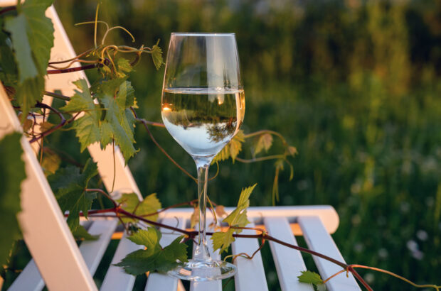Glass of white wine on garden chair in vineyard