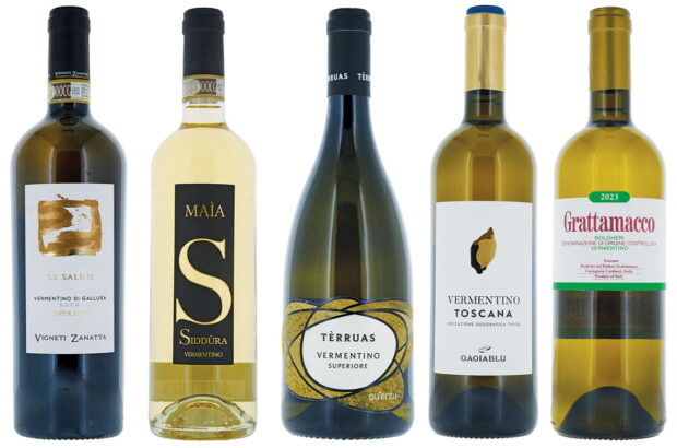 Vermentino panel tasting