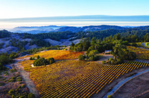 US Pinot Noir