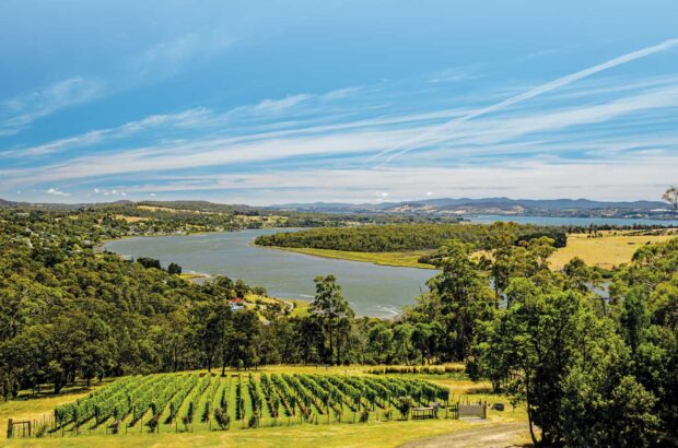 The view down to the Tamar river from Brady’s Lookout, Tasmania
