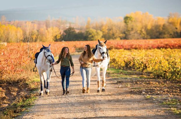 two women walking horses
