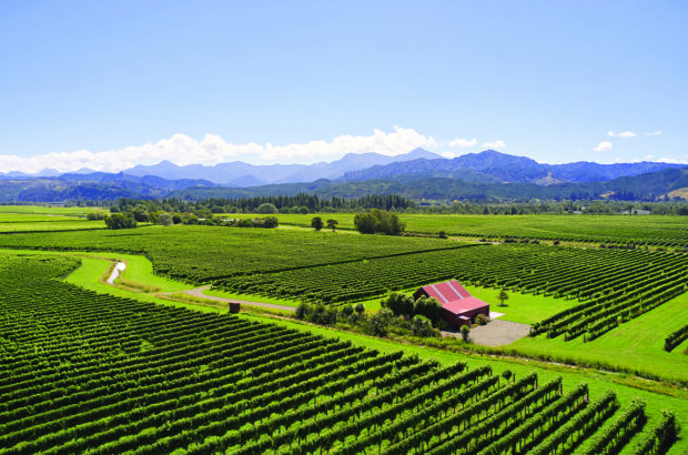 Cloudy Bay winery