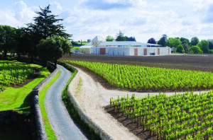 Three improved Bordeaux wines