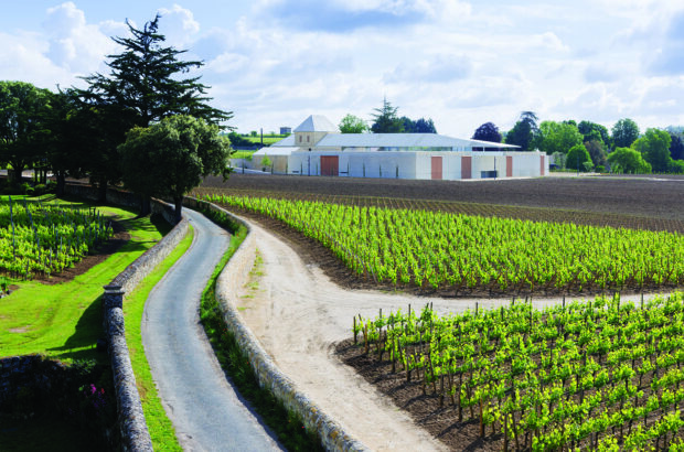 Three improved Bordeaux wines