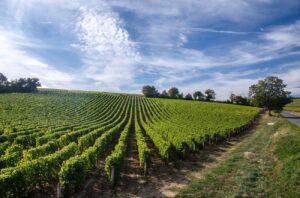 GettyImages-623713312-credit--Alain36---iStock---Getty-Images-Plus