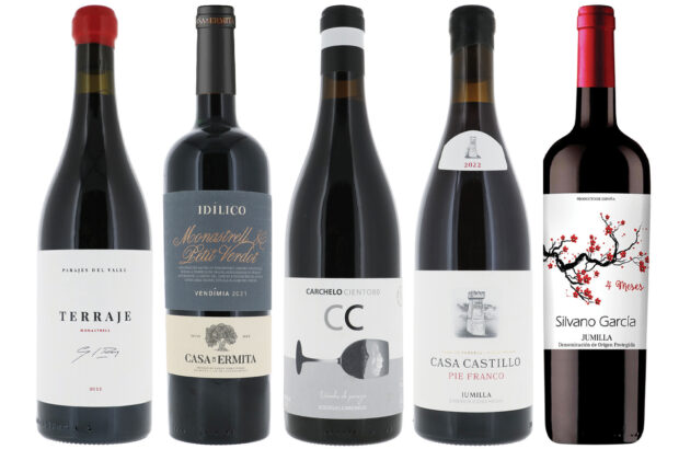 Jumilla wines