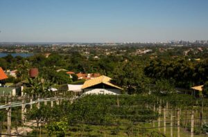 Brasilia---Vinhedo-Lacustre-3-WEB