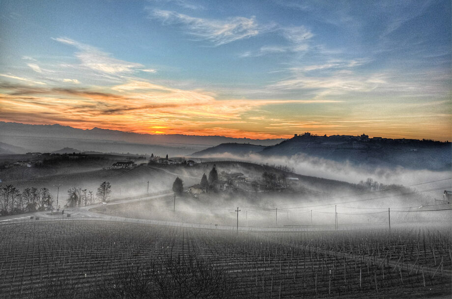 Broccardo vineyards