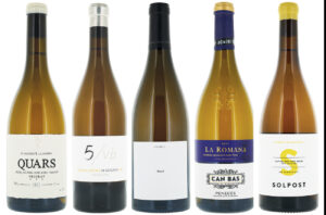 Catalonian white wines
