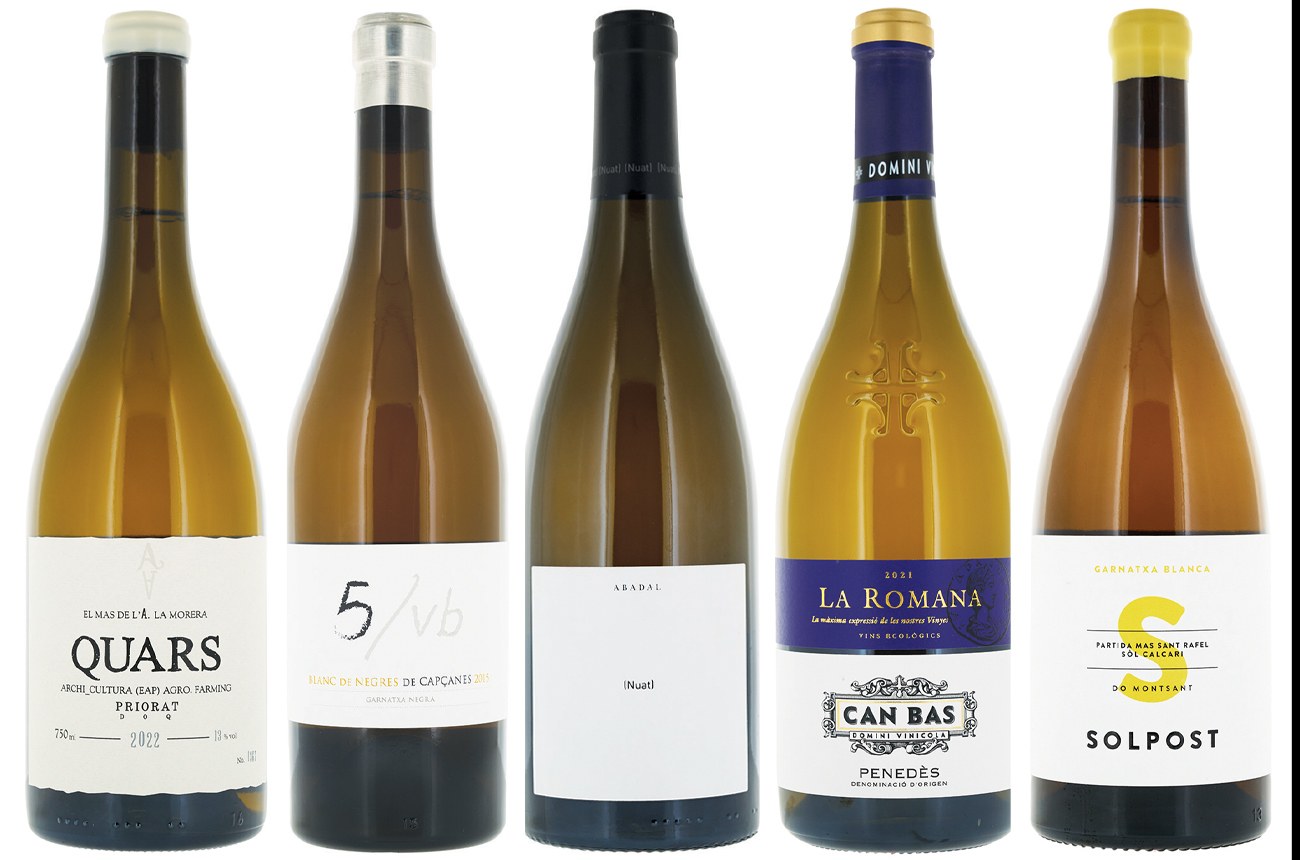 Catalonian whites: Panel tasting results
