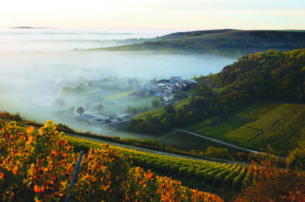 Sancerre wines