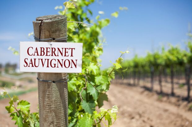 best Cabernet Sauvignons