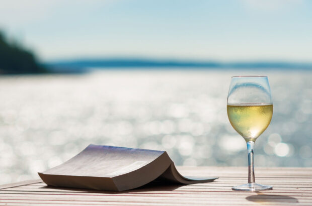 Glass of wine and book against sea background