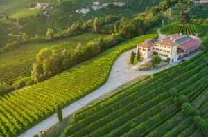 Masi-main-image