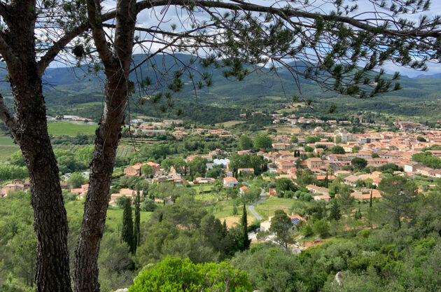 Languedoc 2022 2023 vintages – St-Chinian