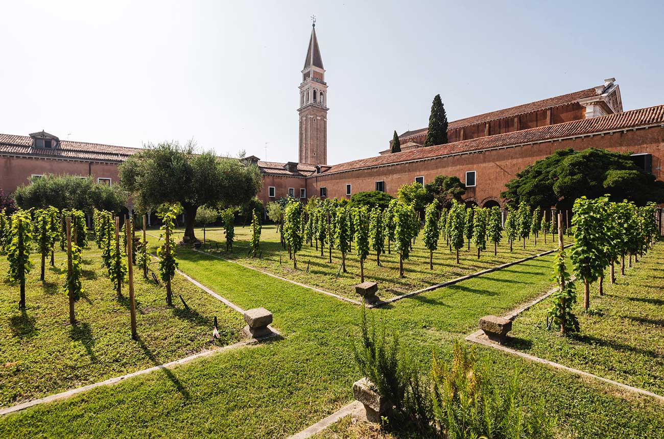 San Francesca della Vigna vineyard