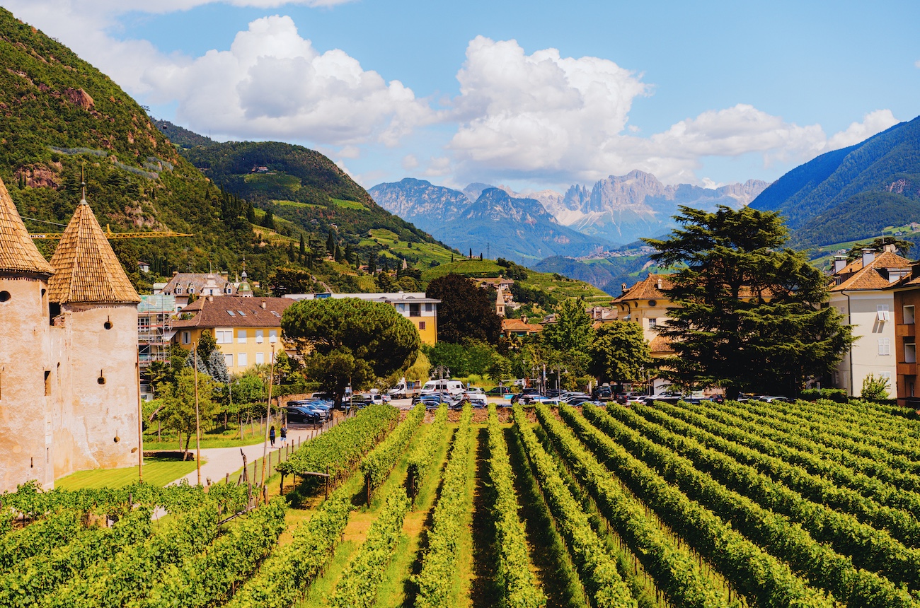 Italian white wine stars: Top medal winners at DWWA 2025