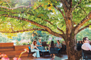 people sat under tree