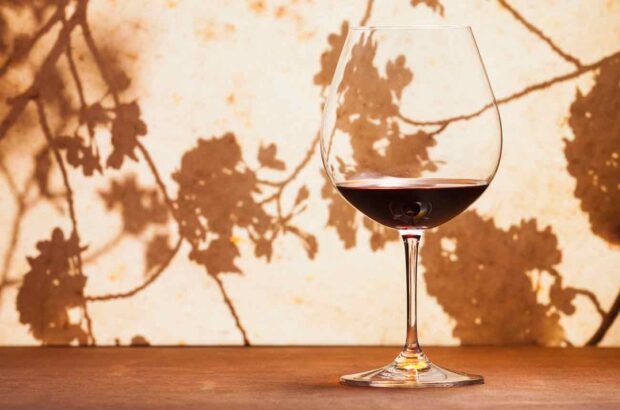 Shadow of blossom tree with glass of red wine