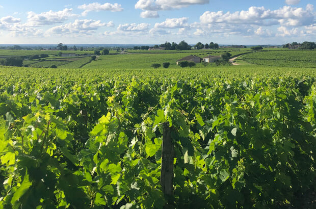 Château Troplong Mondot