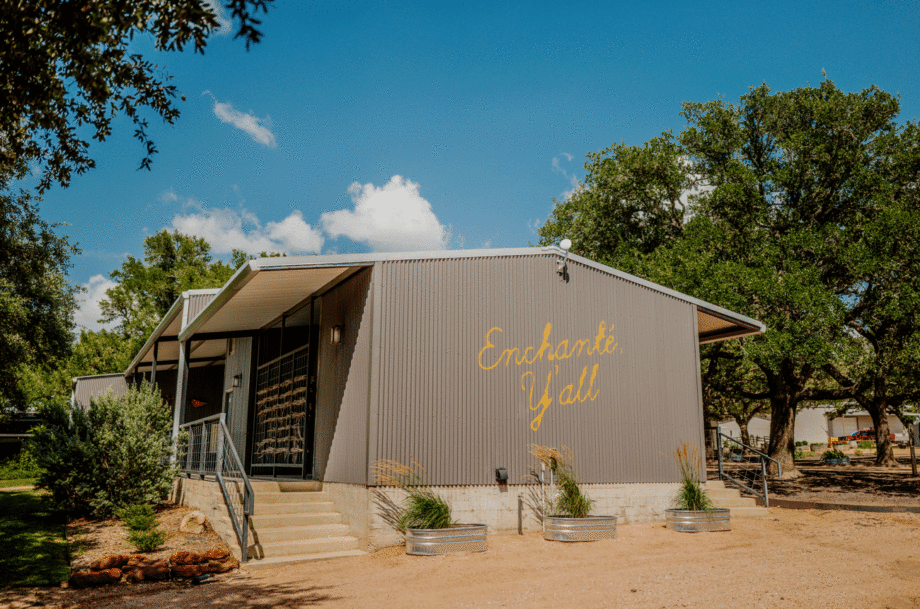 Texas wine