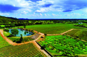 Symington’s Quinta da Fonte Souto in the Portalegre sub-region in southern Portugal