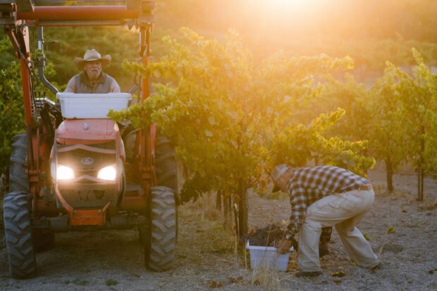 Thacher Winery Paso Robles