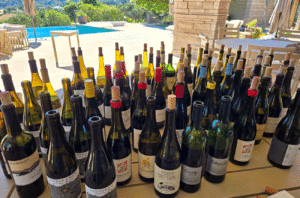 top 10 wines august