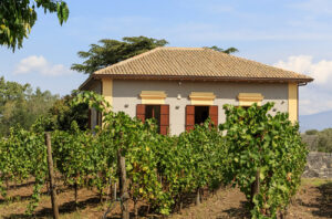 Duca di Salaparuta’s winery on the Vajasindi estate in Sicily