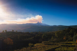 Duca-di-Salaparuta-vineyards-with-Etna