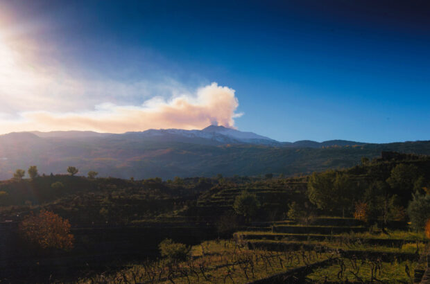 Duca di Salaparuta’s Vajasindi estate near Mount Etna in Sicily.