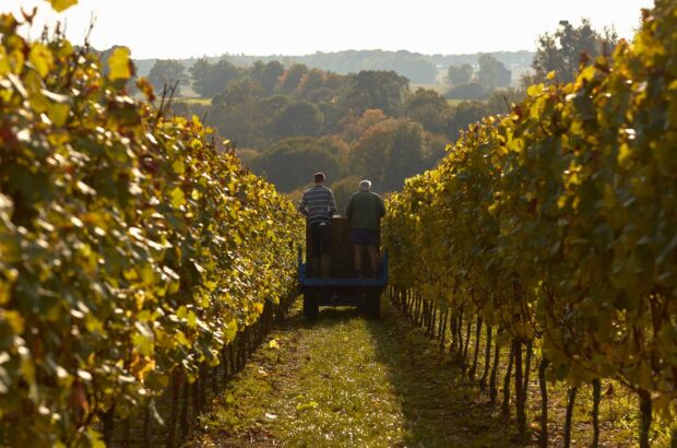 The Grange in Hampshire