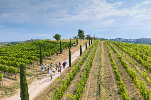 Istria: Identity you can taste