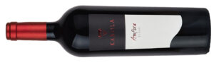 Kabola Winery, Amfora Teran 2020