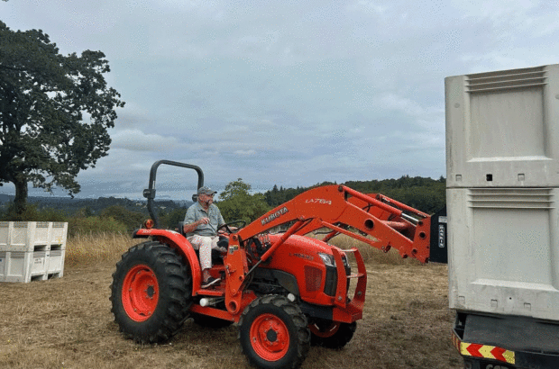 Image of a tractor loading bins of grapes at harvest.