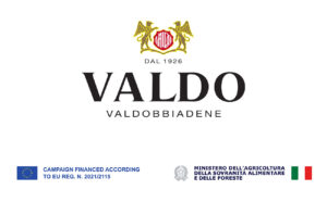 Valdo Prosecco Superiore logo