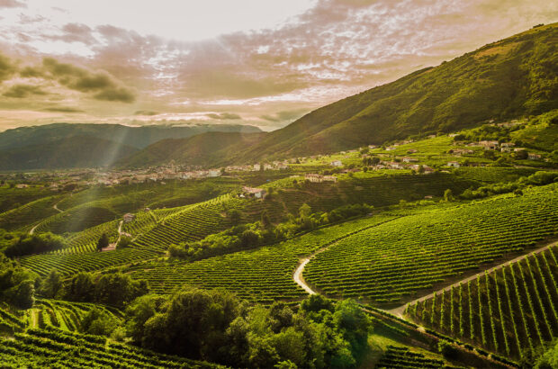 Local roots, global reach: How Valdo champions Prosecco Superiore