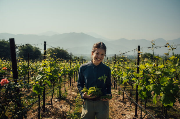 Taiwan wines