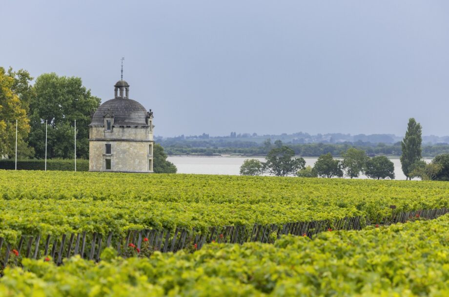 Château Latour, Bordeaux