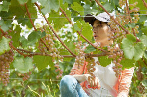Ayana Misawa, Grace Wine’s head of viticulture and oenology