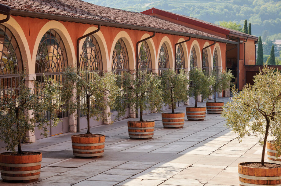The historic Bertani cellars in Valpollicella