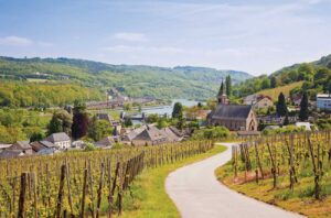 Vineyards near Schengen, Luxembourg