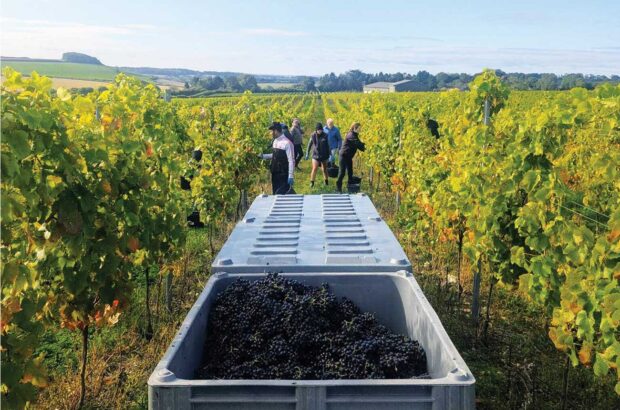 The Langham team harvesting in Dorset