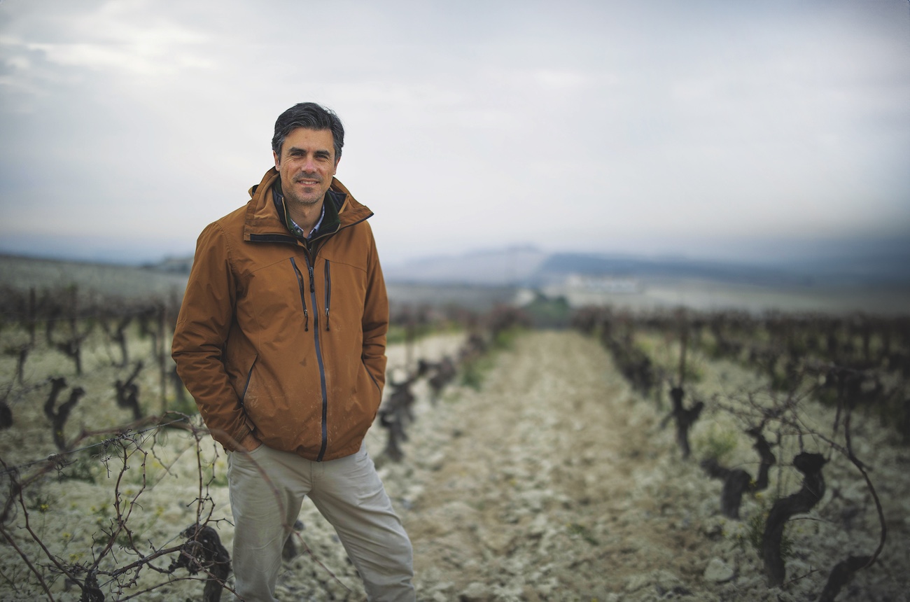 No D.O. – The Spanish wines pushing the boundaries of tradition