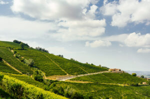 The Fortemasso winery in Castelletto MGA