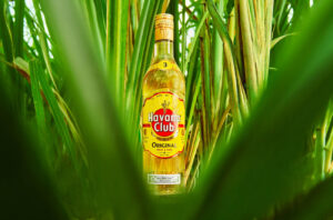 Havana Club rums are distilled in Cuba